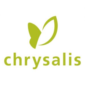 chrysalis