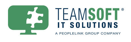 TeamSoft logo